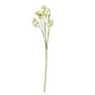 Cream Gypsophila Stem by Hill Interiors