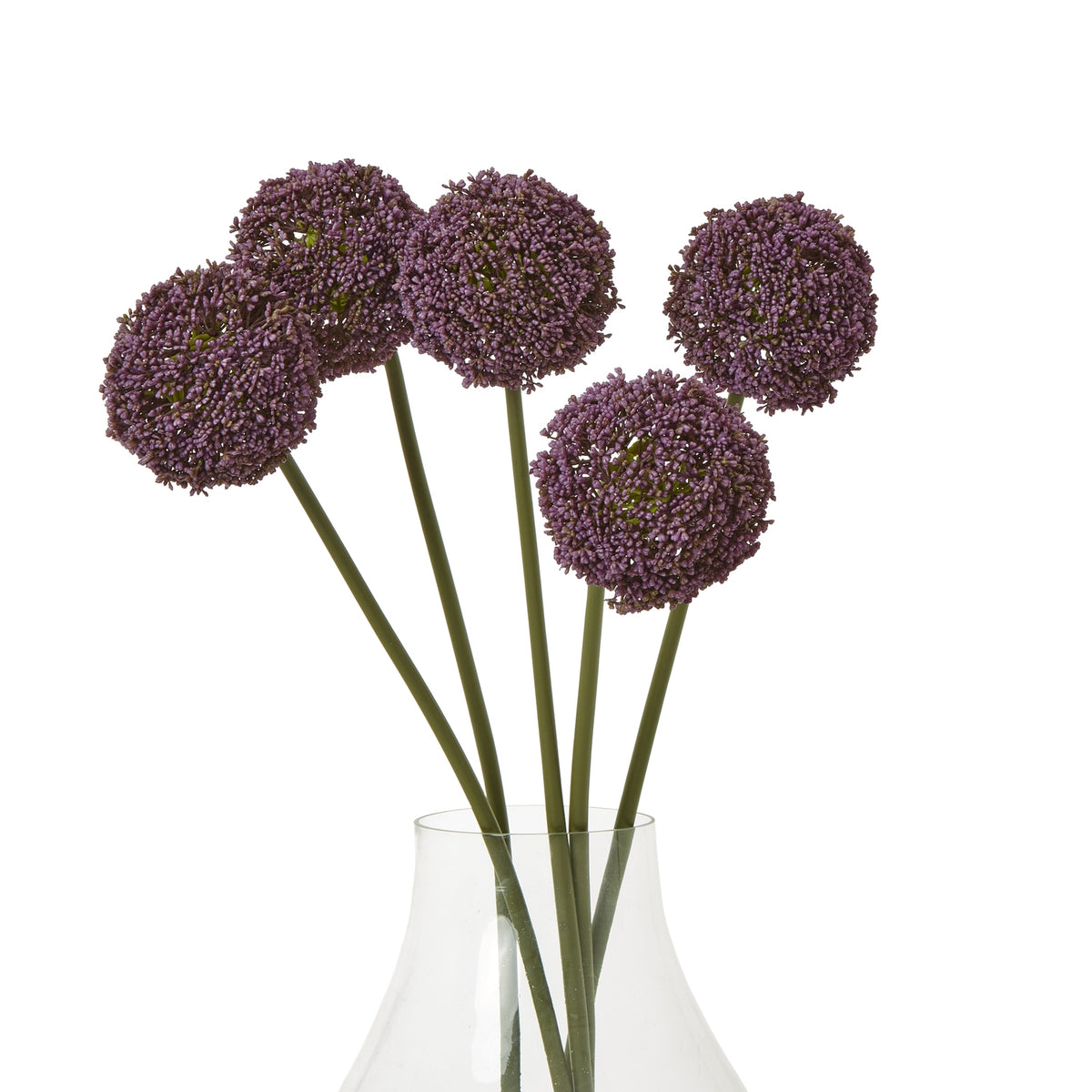 Purple Allium Stem by Hill Interiors - image 3