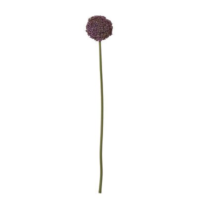 Purple Allium Stem by Hill Interiors