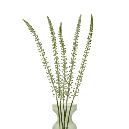 White Eremurus Stem by SEDERVA - image 3
