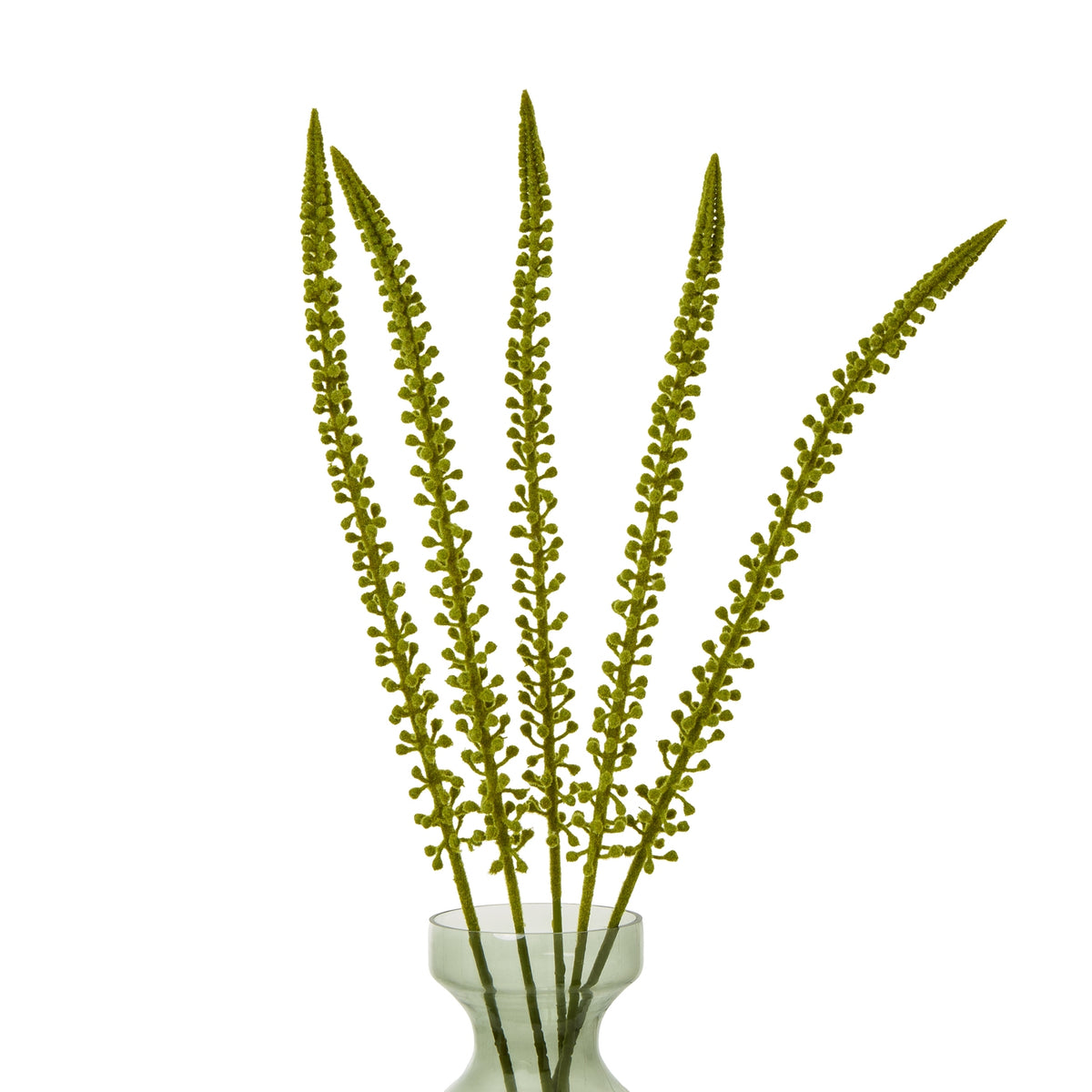 Green Eremurus Stem by Hill Interiors - image 3