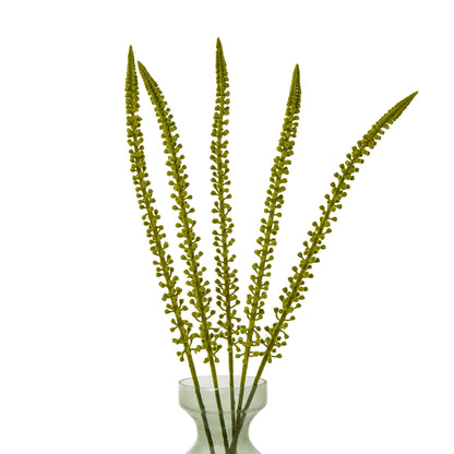 Green Eremurus Stem by Hill Interiors - image 3