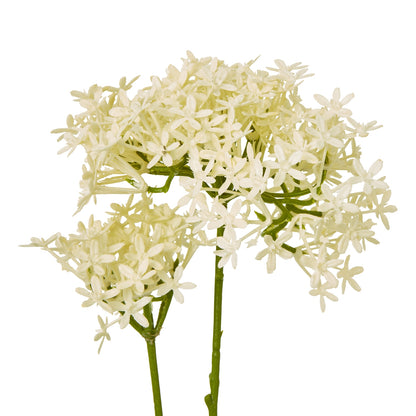 Cream Crown Hydrangea Stem by Hill Interiors - image 2