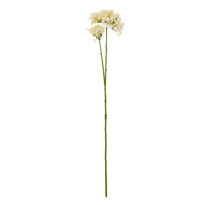 Cream Crown Hydrangea Stem by Hill Interiors