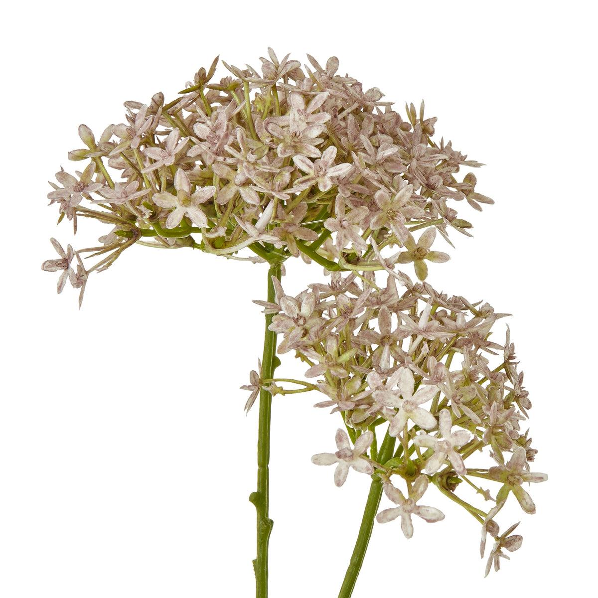 Lilac Crown Hydrangea Stem by Hill Interiors - image 2