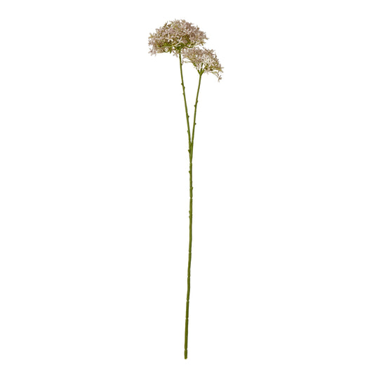 Lilac Crown Hydrangea Stem by Hill Interiors