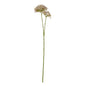 Lilac Crown Hydrangea Stem by Hill Interiors