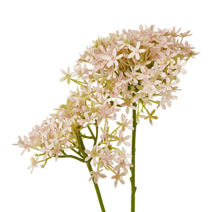 Pink Crown Hydrangea Stem by Hill Interiors - image 2