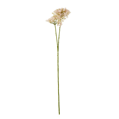 Pink Crown Hydrangea Stem by Hill Interiors