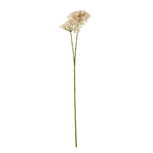 Pink Crown Hydrangea Stem by Hill Interiors