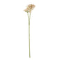 Pink Crown Hydrangea Stem by Hill Interiors
