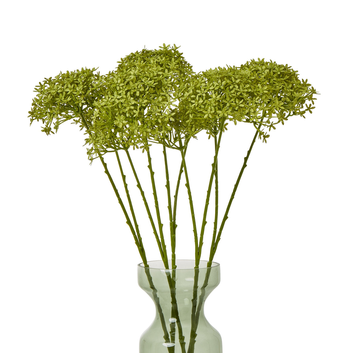 Green Crown Hydrangea Stem by SEDERVA - image 3