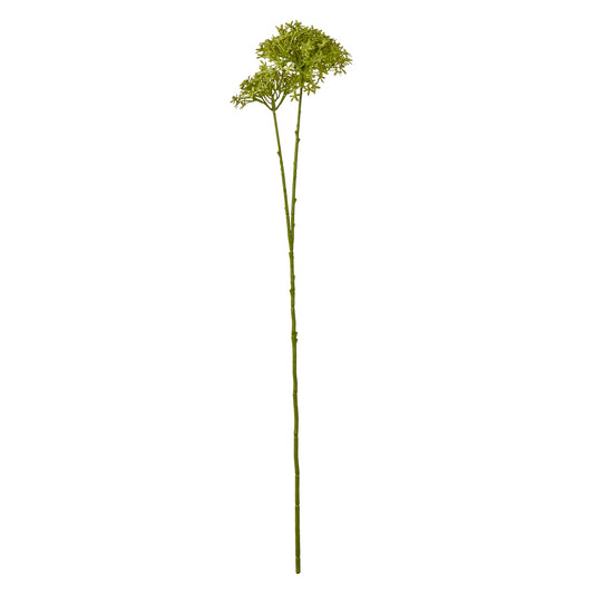 Green Crown Hydrangea Stem by Hill Interiors