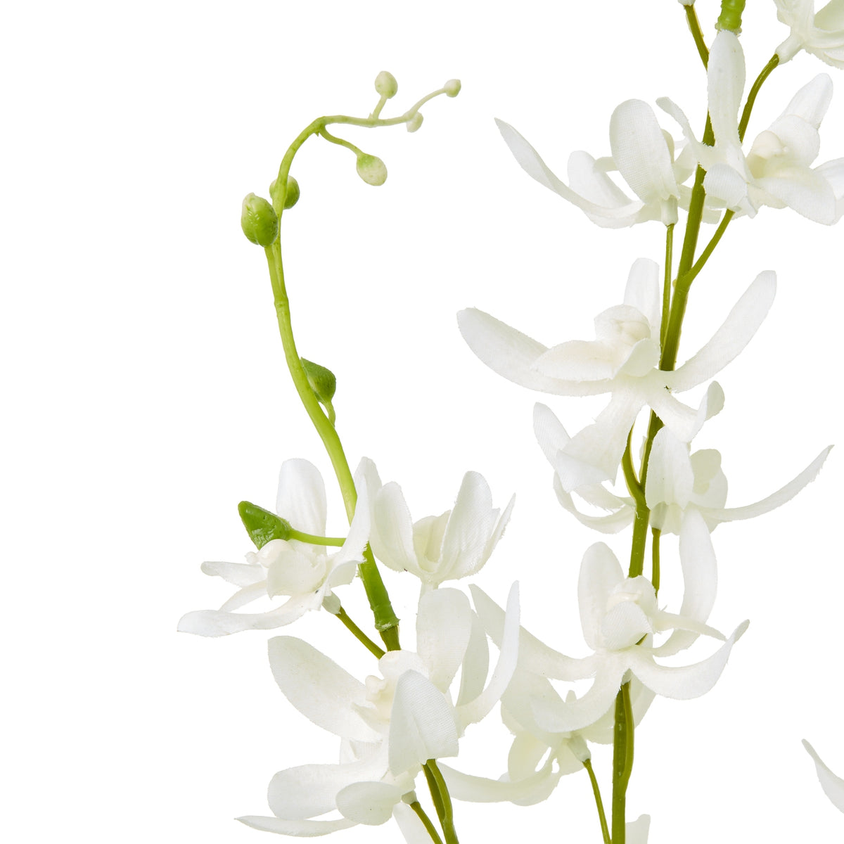 White Cymbidium Spray by Hill Interiors - image 2