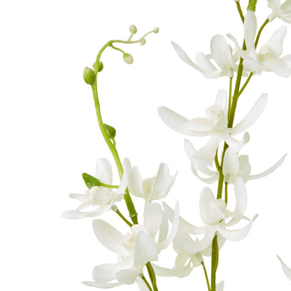 White Cymbidium Spray by Hill Interiors - image 2