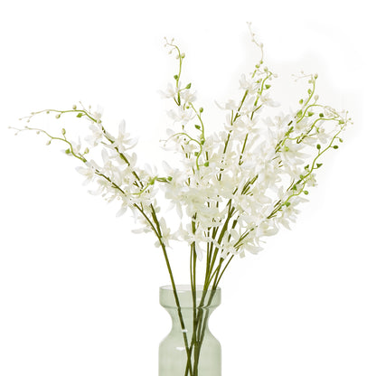 White Cymbidium Spray by Hill Interiors - image 3