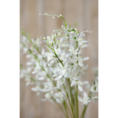 White Cymbidium Spray by Hill Interiors - image 5