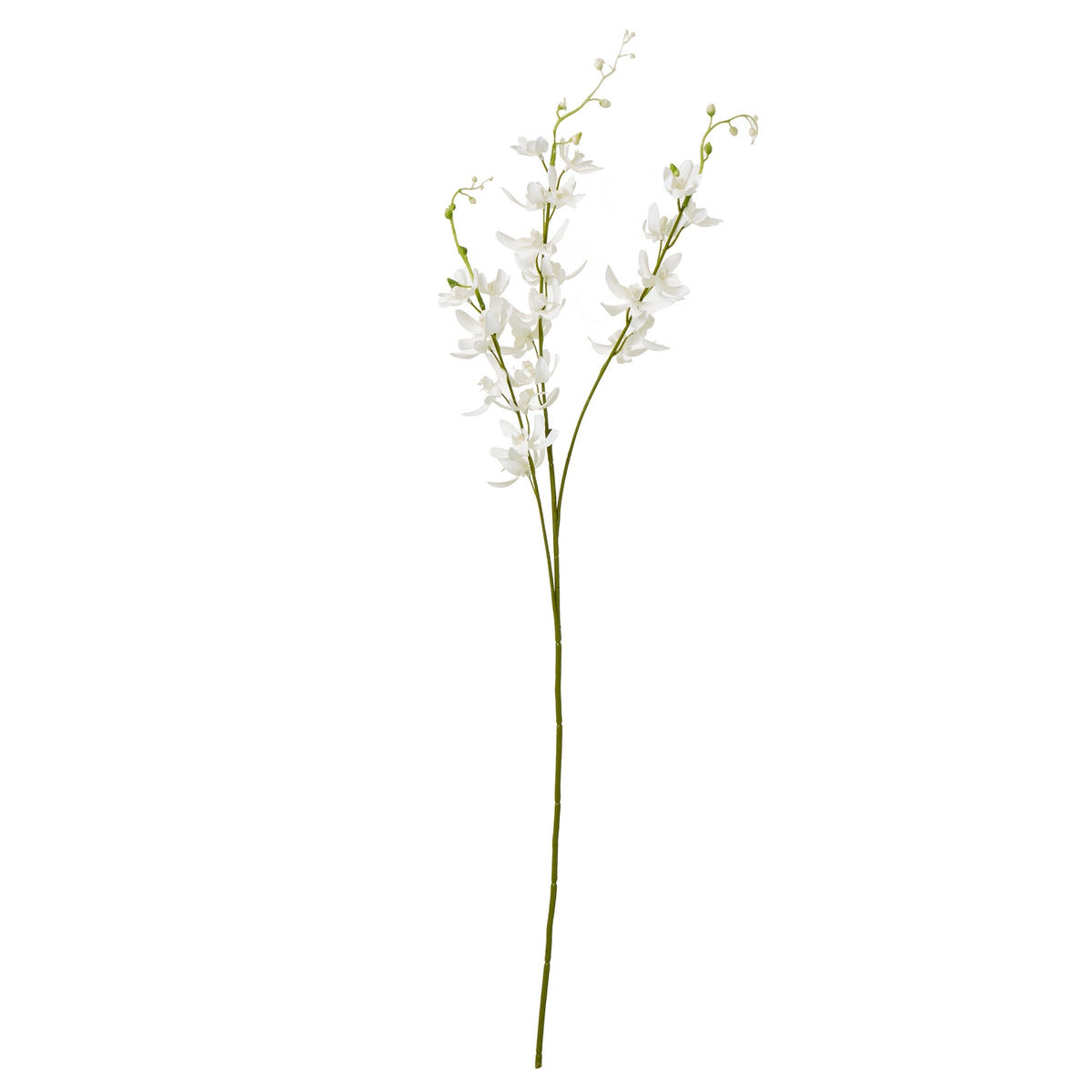 White Cymbidium Spray by Hill Interiors