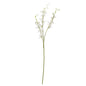 White Cymbidium Spray by Hill Interiors