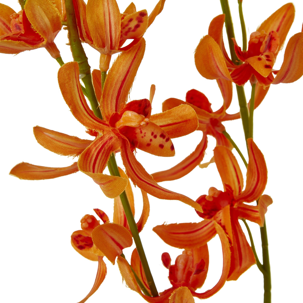 Orange Cymbidium Spray by Hill Interiors - image 2