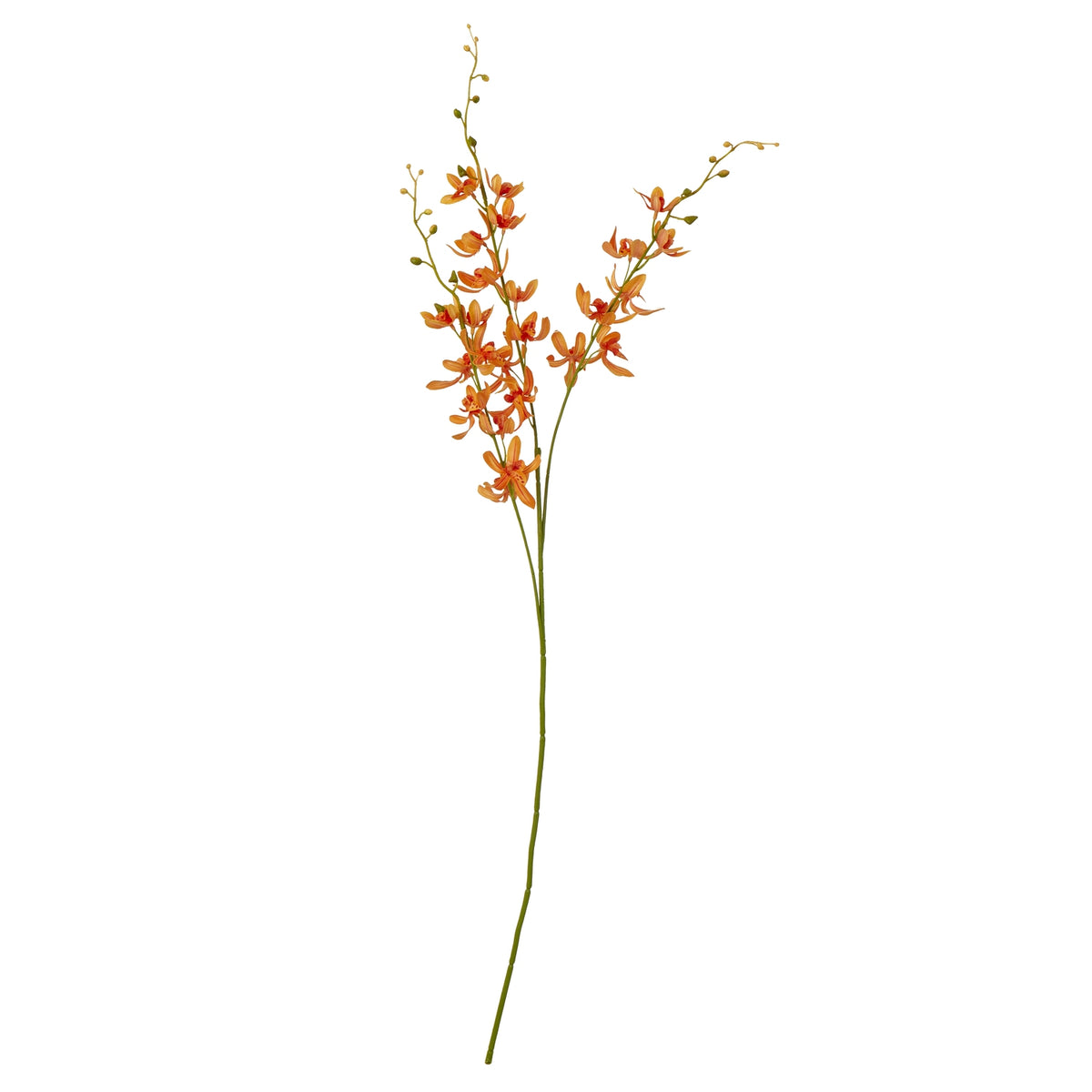 Orange Cymbidium Spray by Hill Interiors