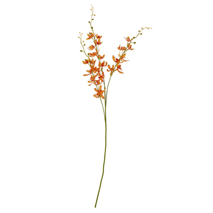 Orange Cymbidium Spray by Hill Interiors