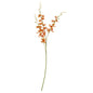 Orange Cymbidium Spray by Hill Interiors