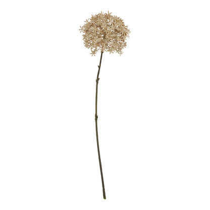 Coffee Allium by Hill Interiors