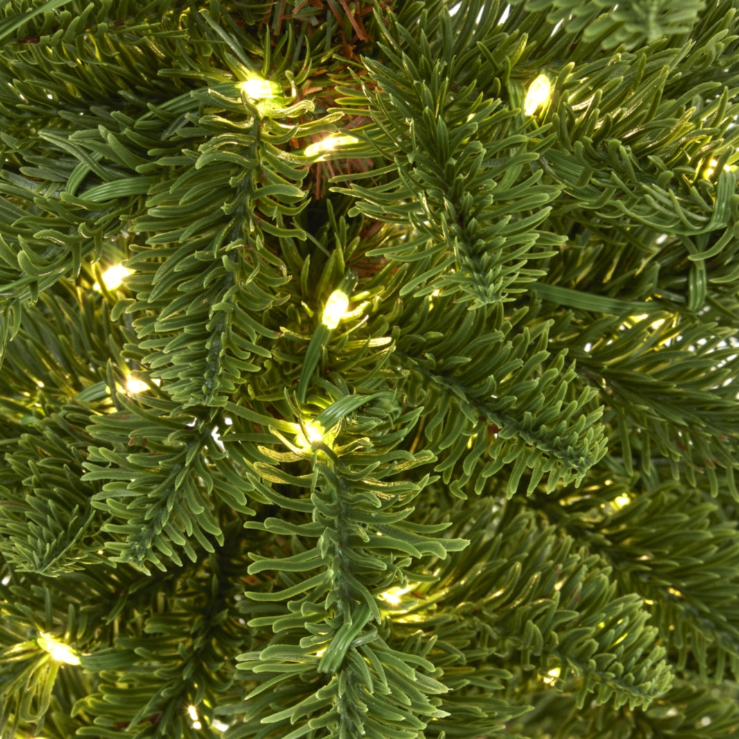 Medium Green Woodland Pre-Lit 200 Led Christmas Tree by Hill Interiors - image 3
