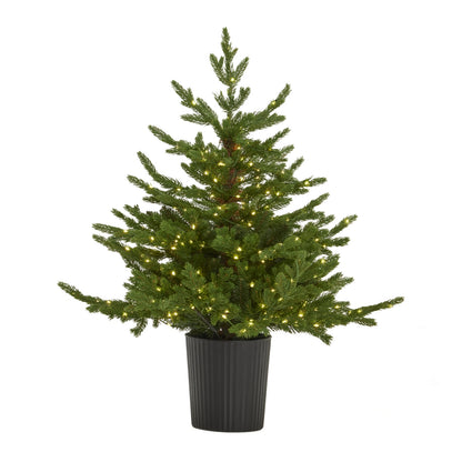 Green Forest Fir Pre-Lit Led 300L Christmas Tree In Pot by Hill Interiors - image 2