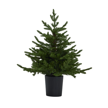 Green Forest Fir Pre-Lit Led 300L Christmas Tree In Pot by Hill Interiors