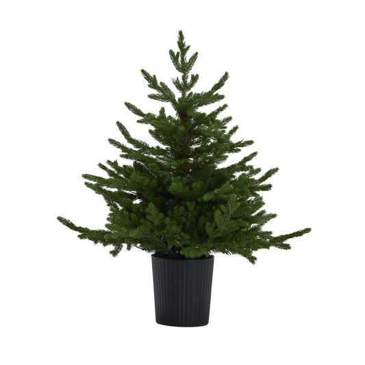 Green Forest Fir Pre-Lit Led 300L Christmas Tree In Pot by Hill Interiors