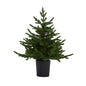 Green Forest Fir Pre-Lit Led 300L Christmas Tree In Pot by Hill Interiors