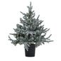 Snowy Forest Fir Pre-Lit Led 300L Christmas Tree In Pot by Hill Interiors