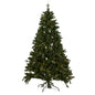Green Forest Fir Pre-Lit 400L Led Christmas Tree by Hill Interiors