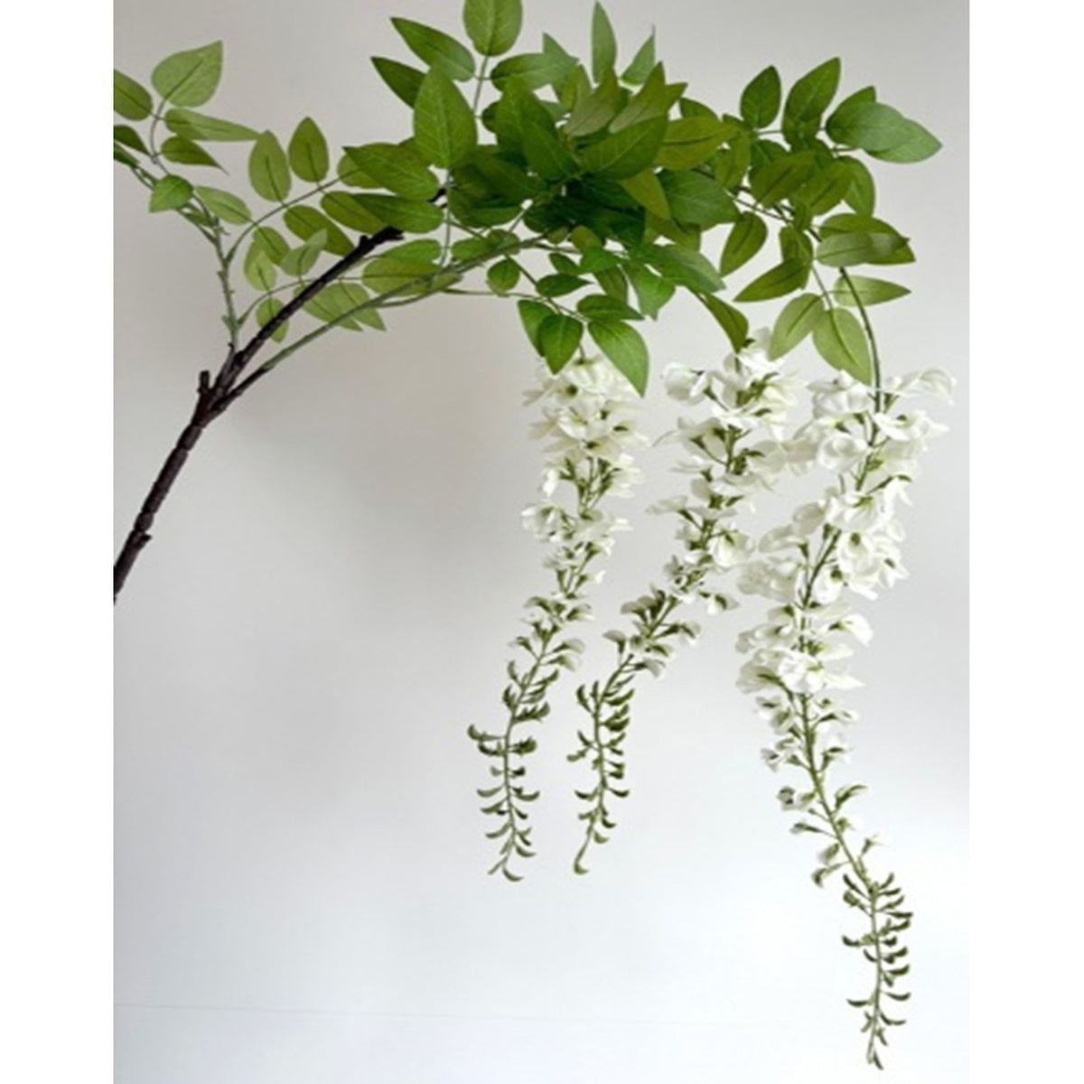 Large White Wisteria Spray by Hill Interiors