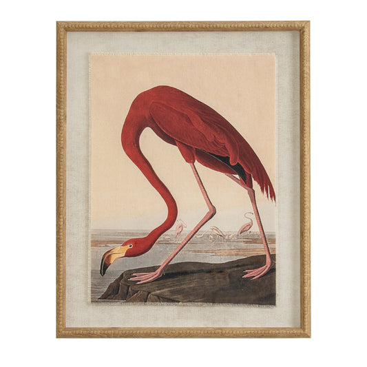Flora & Fauna Collection Flamingo On Linen In Beaded Frame by Hill Interiors