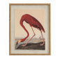 Flora & Fauna Collection Flamingo On Linen In Beaded Frame by Hill Interiors