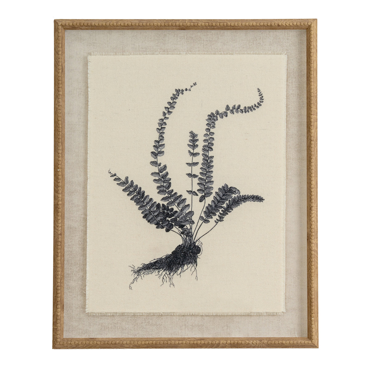 Flora & Fauna Collection Spleenwort On Linen In Beaded Frame by Hill Interiors