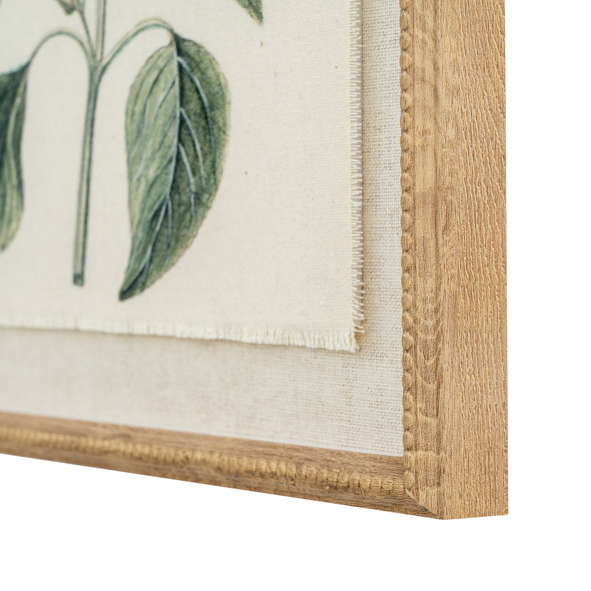 Flora & Fauna Collection Salvia On Linen In Beaded Frame by Hill Interiors - image 2