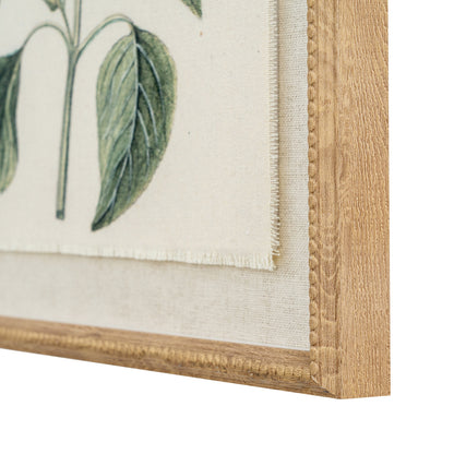 Flora & Fauna Collection Salvia On Linen In Beaded Frame by Hill Interiors - image 2