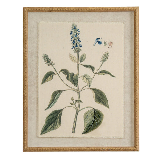 Flora & Fauna Collection Salvia On Linen In Beaded Frame by Hill Interiors