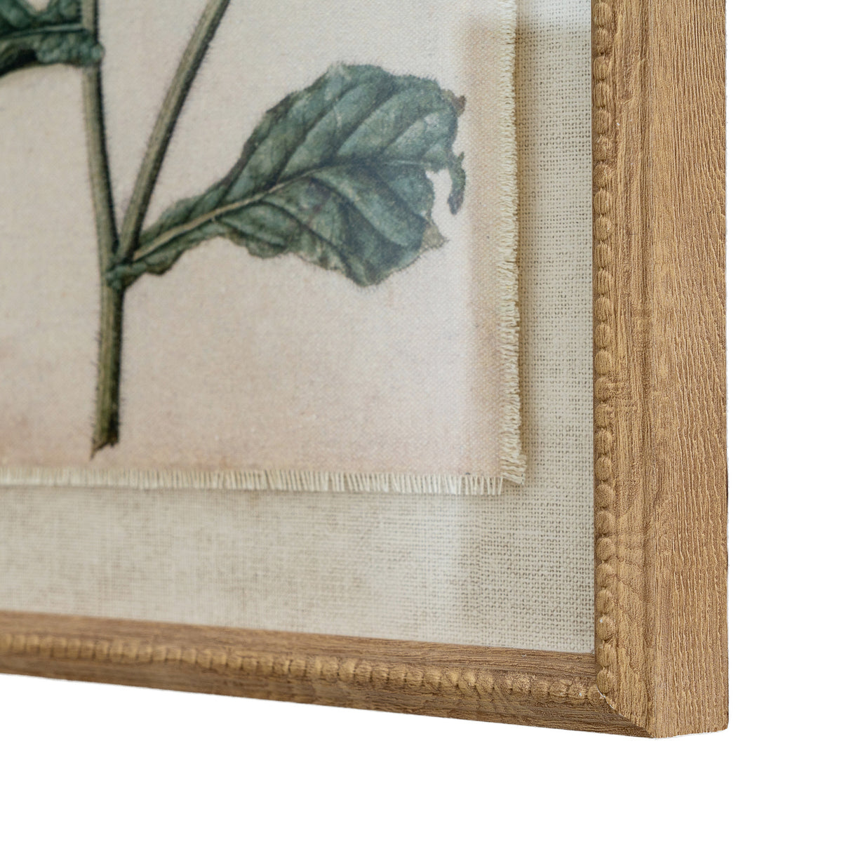 Flora & Fauna Collection Borage On Linen In Beaded Frame by SEDERVA - image 2