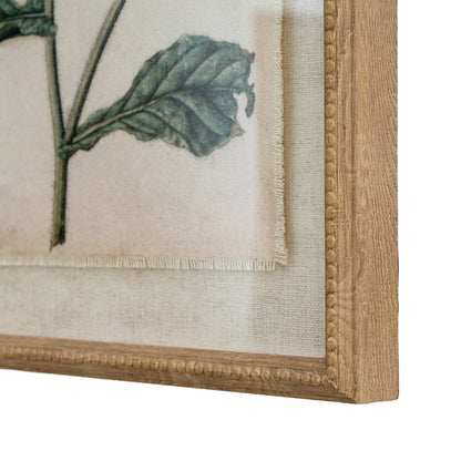 Flora & Fauna Collection Borage On Linen In Beaded Frame by SEDERVA - image 2