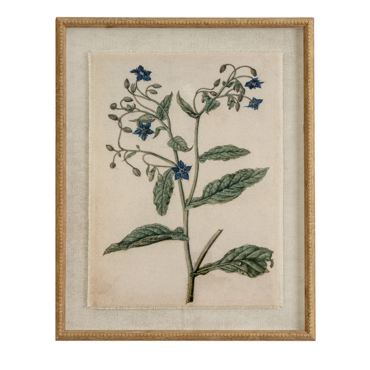 Flora & Fauna Collection Borage On Linen In Beaded Frame by SEDERVA