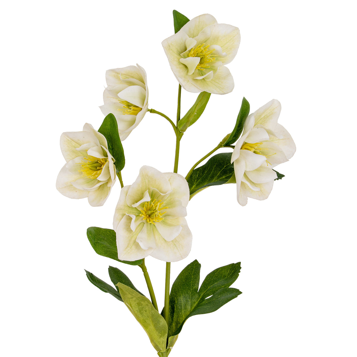 White Hellebore Stem by Hill Interiors - image 2