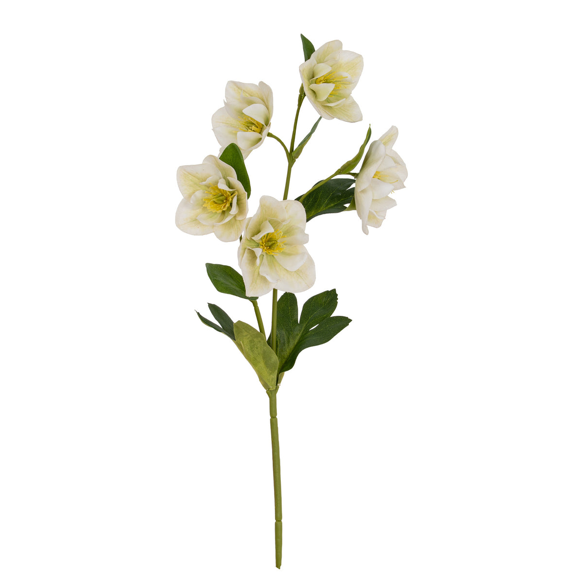 White Hellebore Stem by Hill Interiors - image 3
