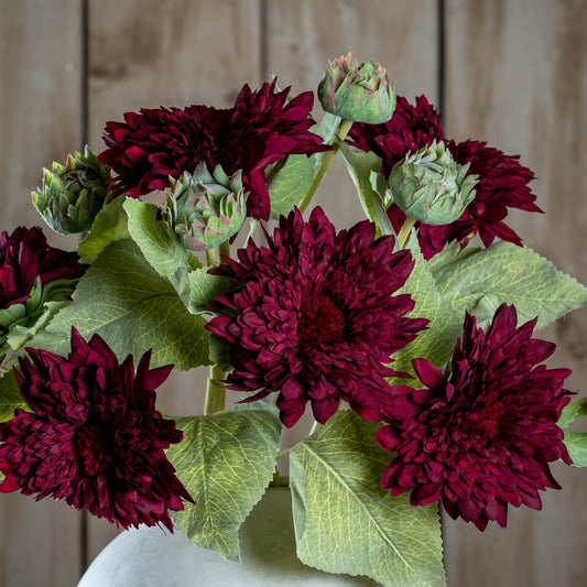 Dahlia Burgundy Raven Stem by Hill Interiors
