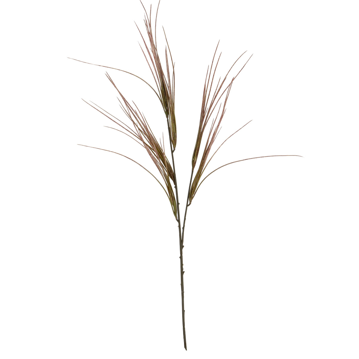 Brome Grass Spray by Hill Interiors - image 2