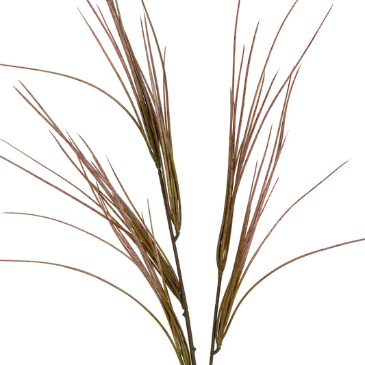 Brome Grass Spray by Hill Interiors